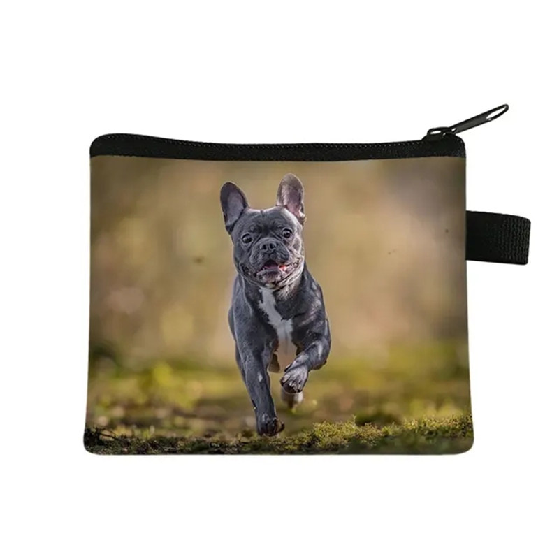 Mignon Floral bouledogue impri - Men Fashion Kids avis et prix