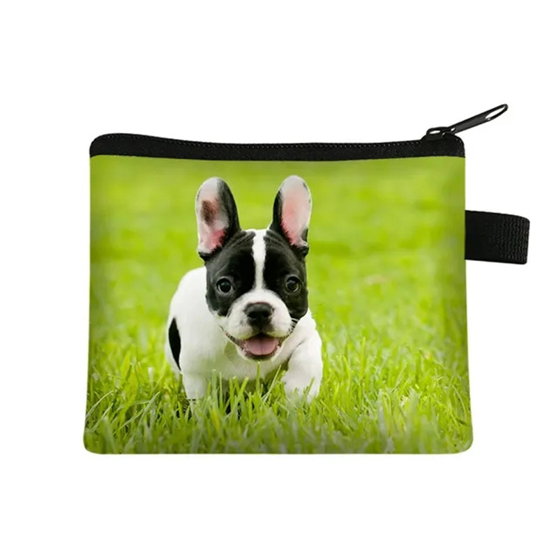 Mignon Floral bouledogue impri - Men Fashion Kids avis et prix