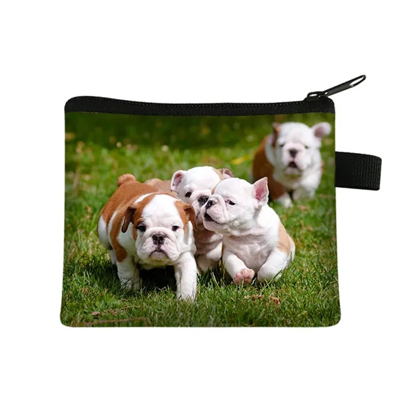 Mignon Floral bouledogue impri - Men Fashion Kids avis et prix